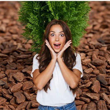 Сосновая кора 80-130 мм 8-13 см Премиум сортированная мегабайт 50 л.