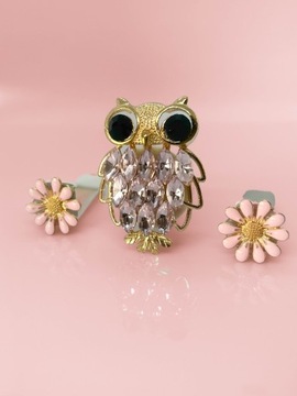 НАБОР АРОМАТИЧЕСКИХ ДЕКОРАЦИЙ + АВТОМОБИЛЬНЫЙ ДИФФУЗОР С АРОМАТОМ СОВЫ