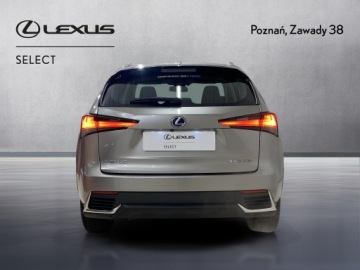 Lexus NX I SUV Facelifting 300h 197KM 2020 Lexus NX 300h Business Edition AWD I (2014-2021) L, zdjęcie 6