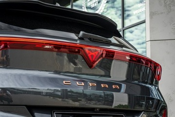Cupra Terramar 2025 Cupra Terramar Advantage Edition DCC 2.0 TSI 204, zdjęcie 10