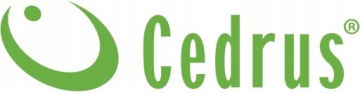 CEDRUS ZM05 PRO-E SWEEPER БЕНЗИНОВЫЙ ГАЗОВЫЙ СНЕГОУборщик СО СТАРТЕРНЫМ ПРИВОДОМ 100см
