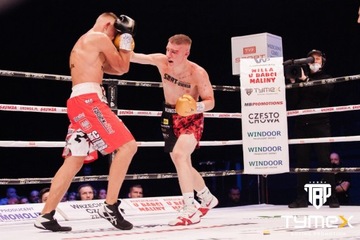 Боксерские перчатки TIGER GOLD V, 10 унций