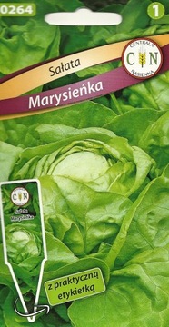 Sałata Marysieńka wczesna delikatna smaczna pycha