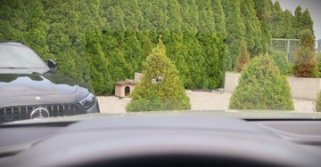 Audi Q8 SUV 3.0 50 TDI 286KM 2019 Audi Q8 (nr. 252) 3.0 Quattro 285KM Navi Kamera 360 Panorama Gwarancja, zdjęcie 18