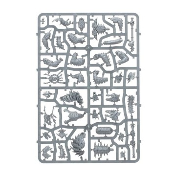 Авангард: Серафон, Warhammer Age of Sigmar