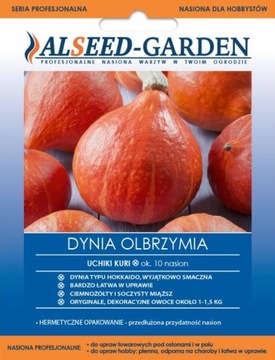 DYNIA OLBRZYMIA UCHIKI KURI TYP HOKKAIDO SMACZNA NASIONA HOLENDERSKIE