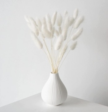 Хвост кролика, Яйцеклетка сушеный лагурус, БЕЛЫЙ, ПУШИСТЫЙ ХВОСТ ЗАЙКИ