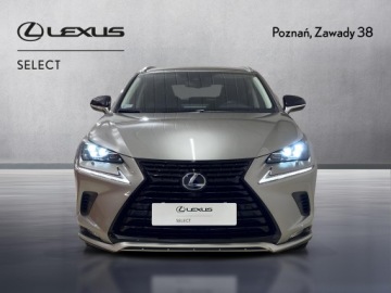 Lexus NX I SUV Facelifting 300h 197KM 2021 Lexus NX 300h F Impression AWD I (2014-2021) 300h, zdjęcie 7