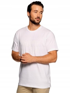 CALVIN KLEIN męska bluzka koszulka t-shirt męski L