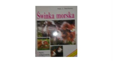 Świnka morska - Anja J. Steinkamp