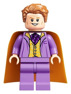 LEGO Figurka Harry Potter Gilderoy Lockhart hp243