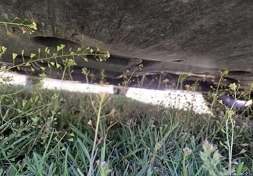 Toyota Camry IX 2019 Toyota Camry Faktura VAT 2.5 Benzyna 120KM, zdjęcie 16