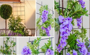 СЕТКА САДОВАЯ ПЕРГОЛА ДЛЯ ВЗЛЫТЫХ РАСТЕНИЙ 45х150