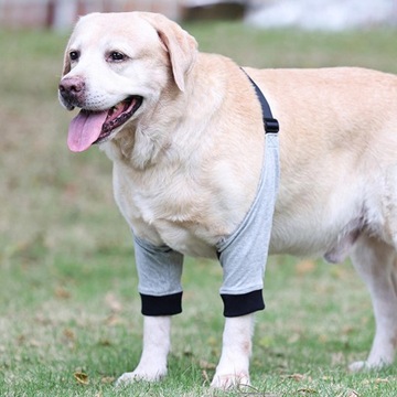 Защита лодыжки для собак. Защитный рукав на локтях.