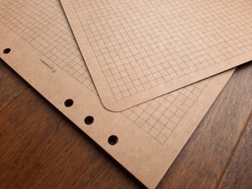 ЭКО КРАФТ вкладыш для папки-планировщика для блокнота - 6 КОЛЬЦЕВ печать А5 - сетка