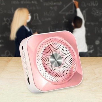 Портативный перезаряжаемый голосовой усилитель Rose Aureate