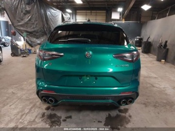 Alfa Romeo Stelvio 2024 Alfa Romeo Stelvio Quadrifoglio 2024 2.9l 2.9 Benzyna 505KM, zdjęcie 3