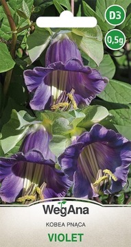 Kobea Violet 0,5g.