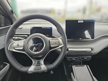 BYD 2025 BYD Dolphin Surf, zdjęcie 13