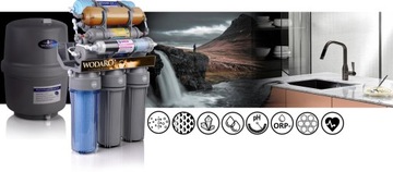 RO10 ЗОЛОТОЙ ФИЛЬТР ОБРАТНОГО ОСМОСА ЩЕЛОЧНОЙ ВОДЫ