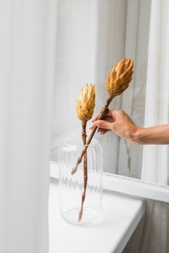 ПРОТЕЯ сушеный серебряный цветок Прометей для вазы