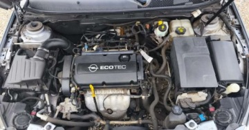 Opel Insignia I Sports Tourer 1.8 Twinport ECOTEC 140KM 2009 Opel Insignia Opel Insignia 1.8 Benzyna 140KM, zdjęcie 36