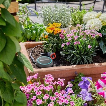 Датчик влажности Gardena: автоматический полив