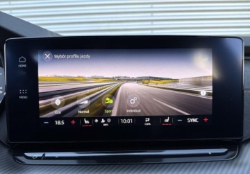 Skoda Octavia IV RS Kombi 2.0 TDI SCR 200KM 2021 Skoda Octavia 2.0TDI RS 200KM DSG Navi 4Podgrzew.Fot. LED Matrix HeadUp Al, zdjęcie 29