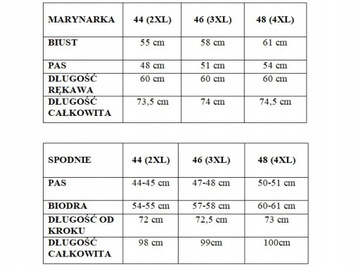 Damski Garnitur Garnitury Damskie Komplet marynarka spodnie Błękitny 4XL