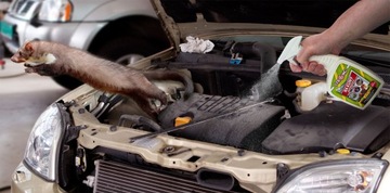 ODSTRASZACZ NA KUNY DO SAMOCHODU I DOMU SPRAY PRZECIW KUNOM STRONG 500 ML