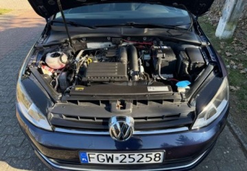 Volkswagen Golf VII Variant 1.2 TSI BlueMotion Technology 110KM 2017 Volkswagen Golf Volkswagen Golf 1.2 TSI BlueMotion Technology Allstar 1.2, zdjęcie 18