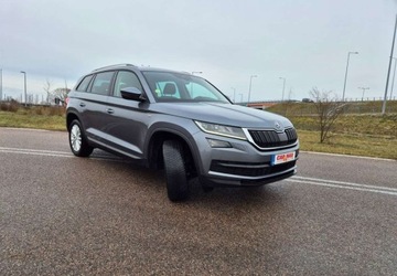 Skoda Kodiaq I SUV 2.0 TDI 150KM 2019 Skoda Kodiaq Skoda Kodiaq 2.0 TDI 4x2 Ambition DSG 7os 2.0 Diesel 150KM, zdjęcie 16