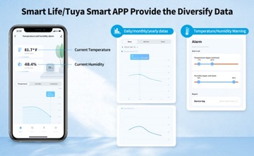 ANGUS Tuya WIFI Внутренний/наружный термометр Интеллектуальное приложение и регистрация данных