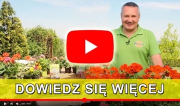 СПРЕЙ ОТ КОМАРОВ И КЛЕЩЕЙ ЛАВАНДОВЫЙ ПРЕПАРАТ 100мл