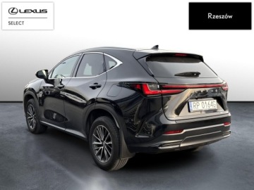Lexus UX 2022 Lexus NX 350h Elegance AWD II (2021-) NX350h Elega, zdjęcie 2