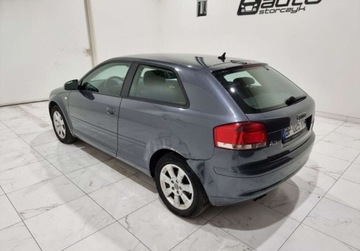 Audi A3 8P Hatchback 3d 1.9 TDI 105KM 2008 Audi A3, zdjęcie 5