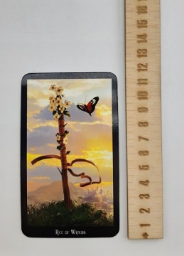 Игровые карты Таро, установленные для гадания ведьм Таро