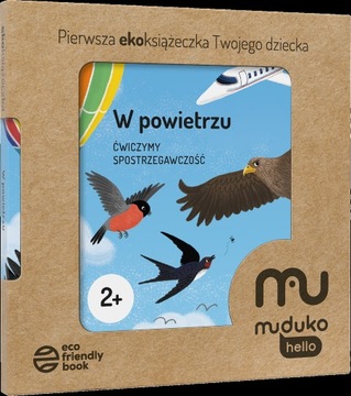 W powietrzu. Ćwiczymy spostrzegawczość 2+ Pierwsza