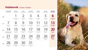 Настольный календарь на 2024 год ФОТО 19,5х11см СОБАКИ СОБАКИ