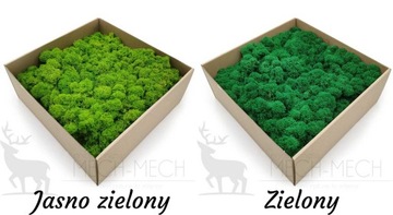 Карта со мхом 100см КРЕСТ МОХ, живое изображение, АЖУР, Сплошной