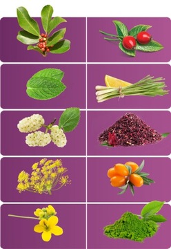 YERBA MATE For SlimFit Набор для похудения, Detox Детокс-очищение, 400 г x2