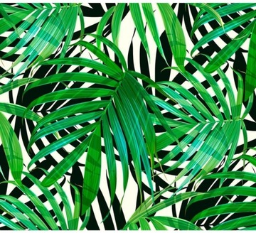 FOTOTAPETA 3D NA ŚCIANĘ DO SYPIALNI 250x175 +KLEJ, Tropikalne Liście Natura