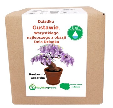 Zestaw BONSAI paulownia Dzień Dziadka Gustaw