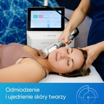 Аппарат для эндомассажа Zemits EndoLuxx Pro Advanced