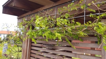 МЕТАЛЛИЧЕСКАЯ РЕШЕТКА ТЕРРАСА САД ПЕРГОЛА ЛЕСТНИЦА ДЛЯ РОЗ, ЦВЕТОВ, ВИНОГРАДА