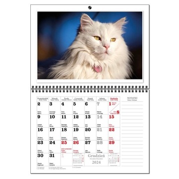 Календарь 2024 настенный планировщик А3 13 досок CATS