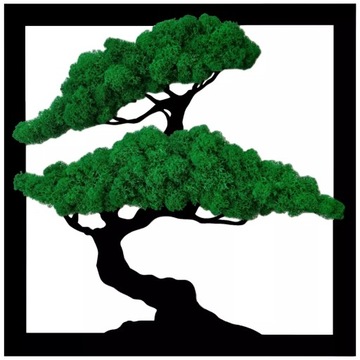 Obraz Drzewo Bonsai ciemny mech kwadrat 30cm