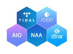 Аудиостример iFi Audio ZEN STREAM