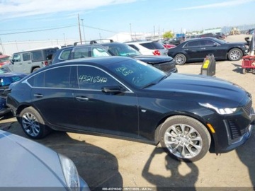 Cadillac 2023 Cadillac CT5 Premium Luxury 2023 2.0l 2.0 Benzyna 237KM, zdjęcie 6