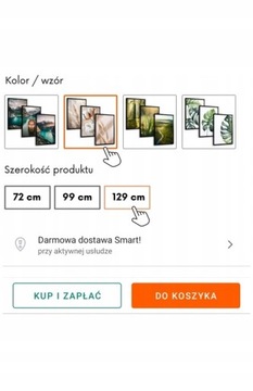 NOWOCZESNE OBRAZY DO SALONU KUCHNI SYPIALNI KWIATY PLAKAT W RAMIE NA ŚCIANĘ